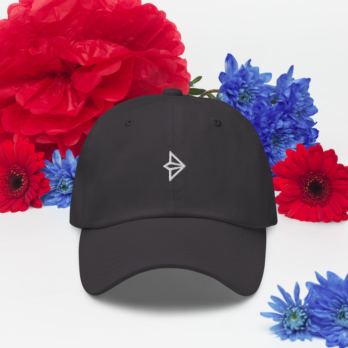 Little Plane Dad hat (white plane)