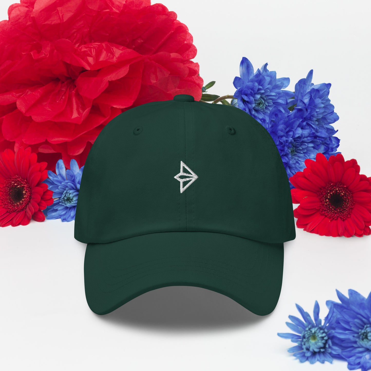 Little Plane Dad hat (white plane)