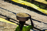 QUEEN CITY HARRAR, NATURAL ETHIOPIAN