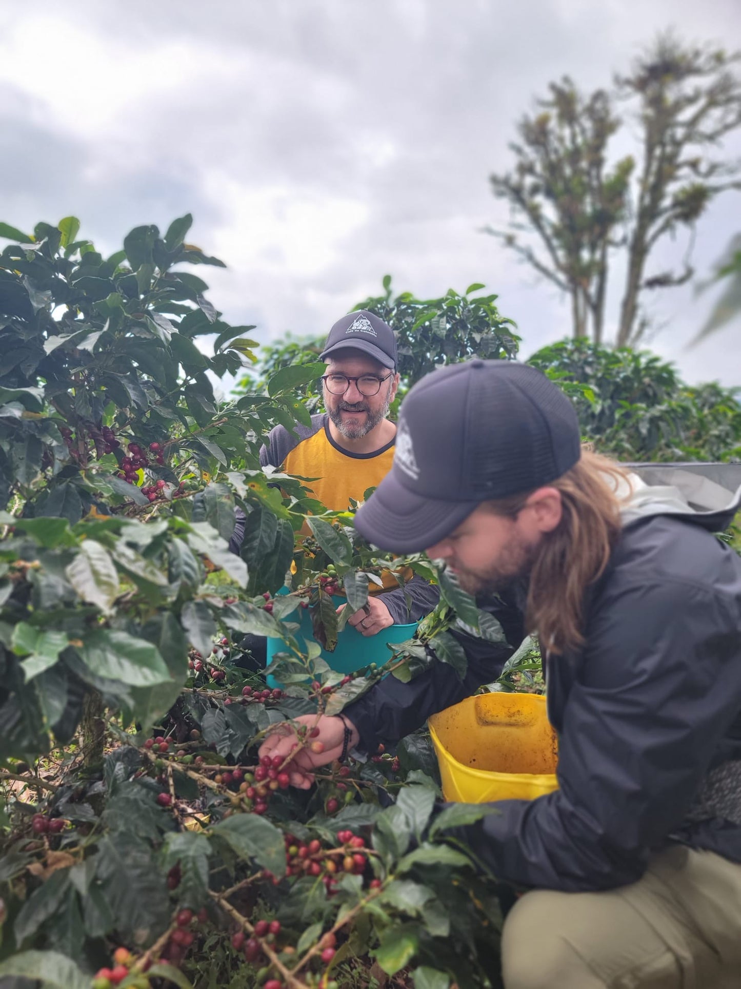 -PRIMERA CLASE - CERRO AZUL, MÉXICO NATURAL ANAERÓBICO