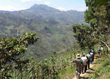 TZELTAL TZOTZIL, CHIAPAS MEXICO