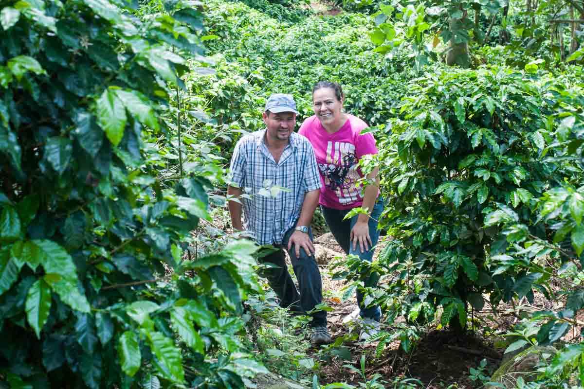 (micro plane) las lajas, alma negra natural, cost rica