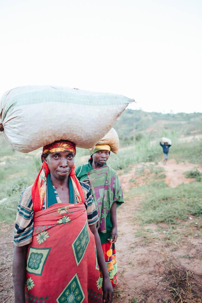 LONG MILES, HONEY PROCESSED, NINGA HILLS, BURUNDI