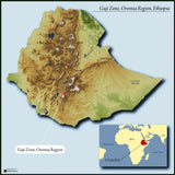 GUJI SHAKISO, NATURAL ETHIOPIAN